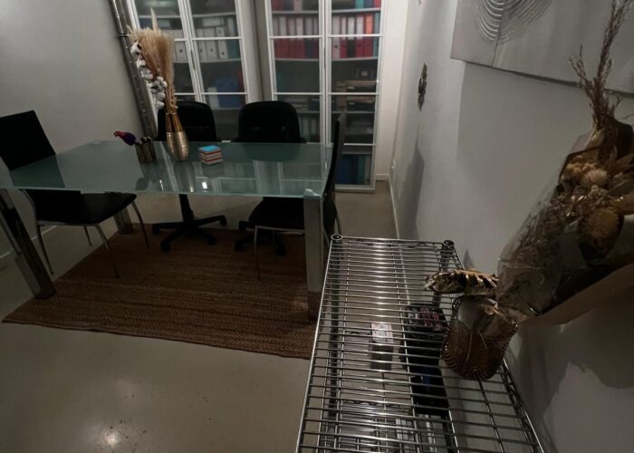 Domicilijacija firmi u Parizu i Nici – Gestidom